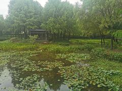 -尚贤河湿地