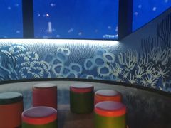 -沈阳海洋探索中心