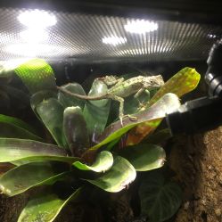 -酷嗒动物文化乐园(cutezoo西溪乐天城店)