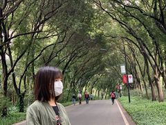 -云溪植物园
