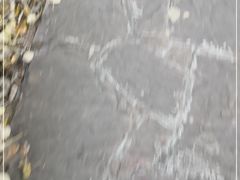 -芦芽山旅游度假区