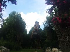 -木兰云雾山