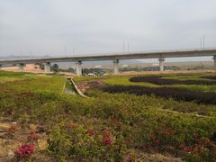 -光明小镇欢乐田园