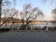 -国家图书馆·古籍馆