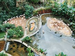 -新加坡飞禽公园