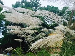 -洪湖家庭农场·团建·露营·会议