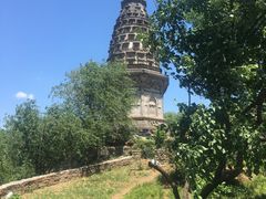 -云岗森林公园