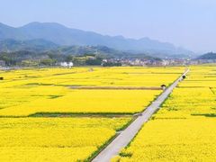 -杭州半山国家森林公园