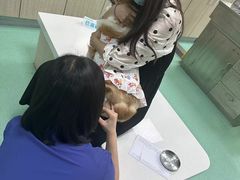 -北京观赏动物医院·24小时大型综合·猫专科·异宠专科