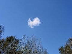 -大连铭湖国际观光牧场