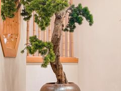 -上座云间·青年赣菜(绿茵店)