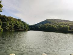 -白马涧龙池景区