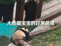 -乐和乐都主题乐园