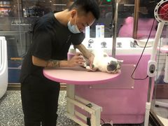 -FAELING PETS美天灵宠物(富力广场店)