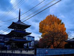 -医王山·飞騨国分寺
