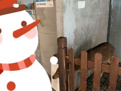 -浣熊柯尔鸭土拨鼠·电玩咖
