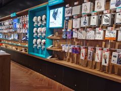 -sundanpulse顺电·脉(海岸城购物中心店)