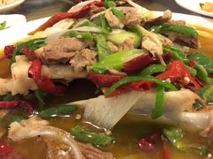 -牧场烧烤餐饮广场