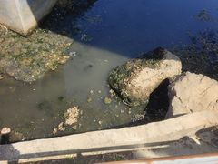 -临沂动植物园