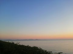-贡湖湾湿地公园