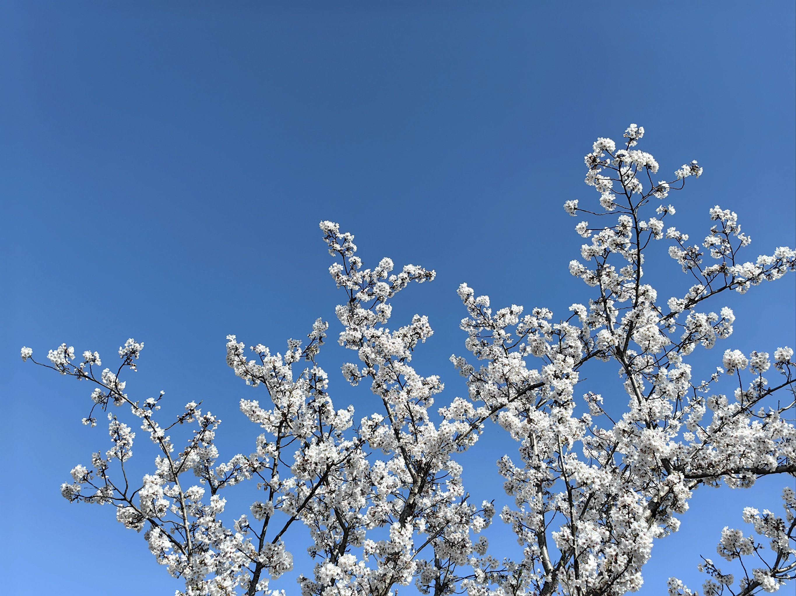 天气好图片今日情况