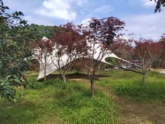 -广州市帽峰山景区