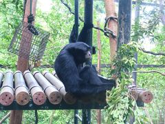 -广州长隆野生动物世界