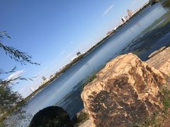 -长春市南湖公园