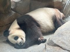 -宁波野生动物园