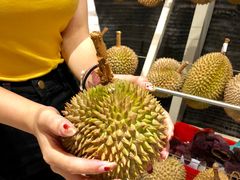 -都念榴莲·城市榴莲