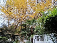 -虞山风景区