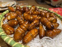 -鸽子窝(青塔店)