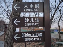 -阳台山自然风景区