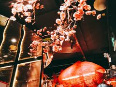 -老板恋上鱼(印象城店)