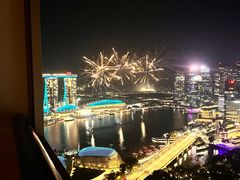 -新加坡瑞士史丹福酒店