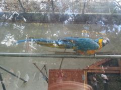 -昆明动物园