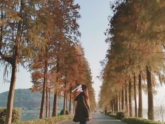 -东湖落雁景区