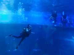 -华夏文旅海洋公园