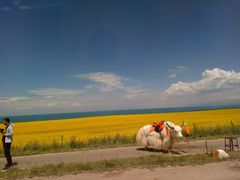-青海湖国家重点风景名胜区