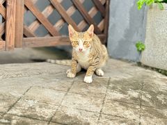 -三溪村