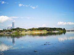 -深圳人才公园