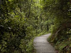 -南岳衡山风景名胜区