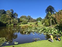-墨尔本皇家植物园