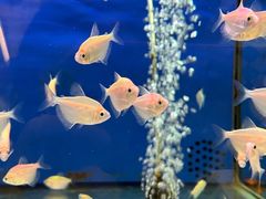 -大润发(王庄店)