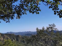 -大岭沟猕猴桃谷风景区