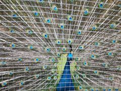 -海南热带野生动植物园