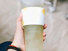 多肉绿葡萄-树夏(金楠天街店)