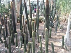 -北京植物园-展览温室