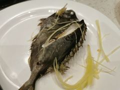 -青蓬蒸汽海鲜·深圳老字号·团建聚会(壹方城店)