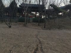 -迎泽公园
